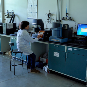 Docente en laboratorio de Ingeniería Química