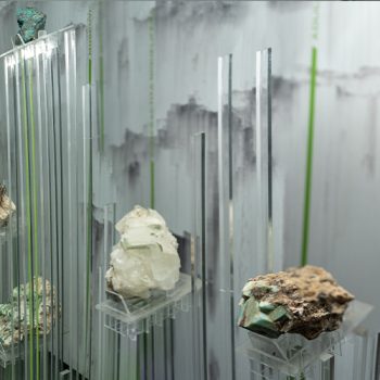 Mineral display shelf in the Jorge Bautista Building