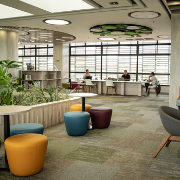 Espacio de trabajo en Bienestar PRO