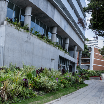 Fachada de edificio de la Facultad de Salud