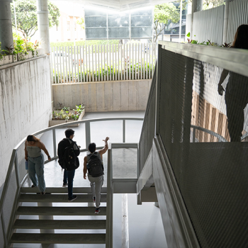 Escaleras de edificio Facultad de Salud