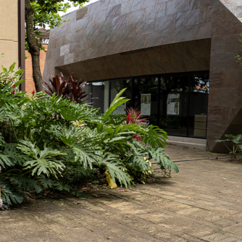 Museo de Historia Natural de la UIS